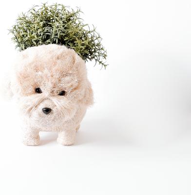 Show full view: LIKHA Poodle 4-in Coco Coir Planter Pot, White, 12 x 6 x 8-in slide 4 of 5