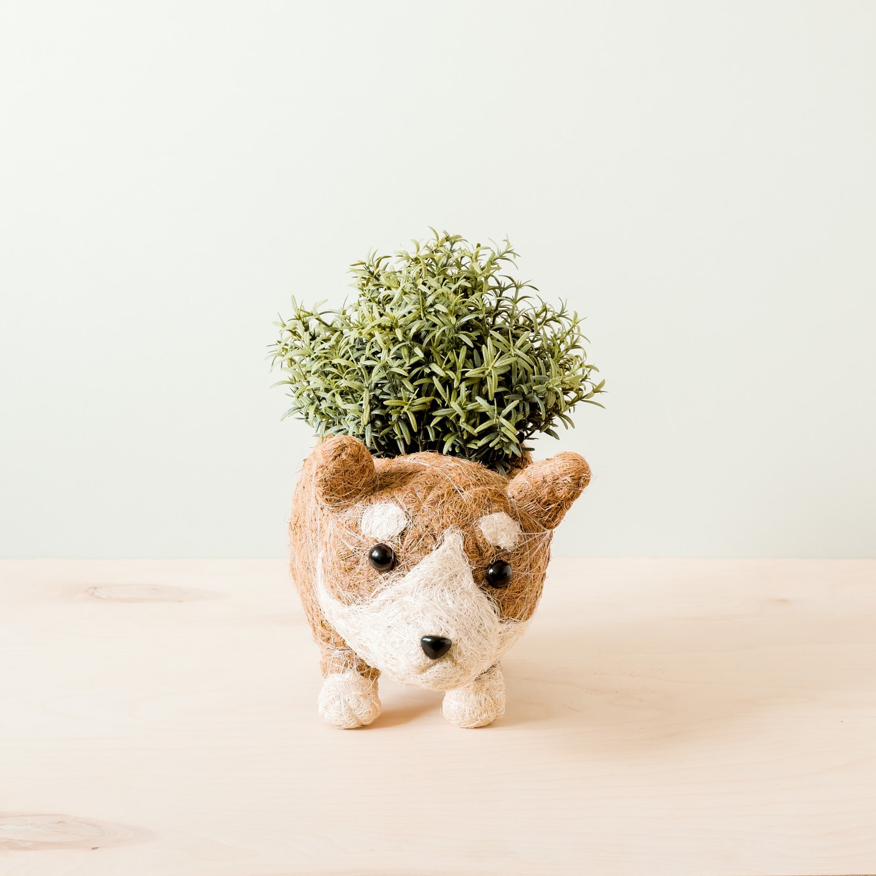 LIKHA Corgi Coco Coir Planter Pot, 4-in