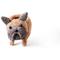 Show in main carousel: LIKHA French Bulldog Coco Coir Planter Pot, 4-in slide 4 of 6