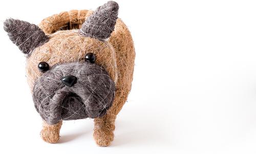 Show full view: LIKHA French Bulldog Coco Coir Planter Pot, 4-in slide 4 of 6