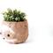Show in main carousel: LIKHA Sloth Coco Coir Planter Pot, Light, 6-in slide 6 of 8