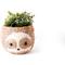 Show in main carousel: LIKHA Sloth Coco Coir Planter Pot, Light, 6-in slide 7 of 8