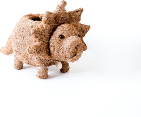 Show full view: LIKHA Triceratops Coco Coir Planter Pot, 4-in slide 5 of 8
