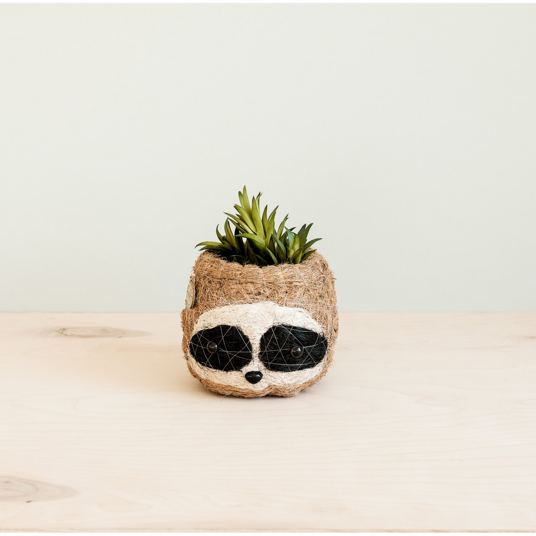 LIKHA Sloth Coco Coir Planter Pot, Dark, 2.5-in
