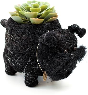 Show full view: LIKHA Schnauzer Coco Coir Planter Pot, 4-in slide 7 of 8