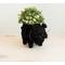 Show in main carousel: LIKHA Schnauzer Coco Coir Planter Pot, 4-in slide 2 of 8
