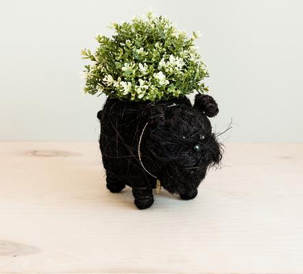 Show full view: LIKHA Schnauzer Coco Coir Planter Pot, 4-in slide 2 of 8