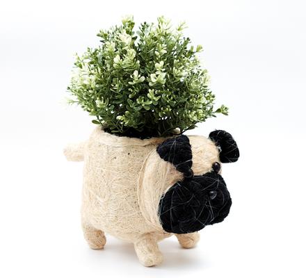 Show full view: LIKHA Pug Coco Coir Planter Pot, 4-in slide 6 of 7