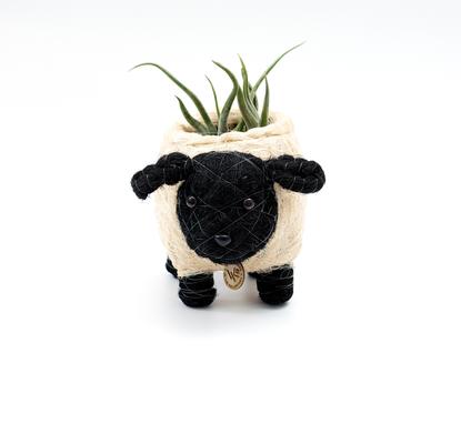 Show full view: LIKHA Sheep Coco Coir Planter Pot, Black/White, 2.5-in slide 6 of 7