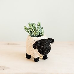 LIKHA Sheep Coco Coir Planter Pot, Black/White, 2.5-in