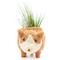 Show in main carousel: LIKHA Corgi Coco Coir Planter Pot, 2.5-in slide 7 of 8