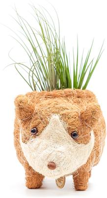 Show full view: LIKHA Corgi Coco Coir Planter Pot, 2.5-in slide 7 of 8