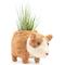 Show in main carousel: LIKHA Corgi Coco Coir Planter Pot, 2.5-in slide 5 of 8