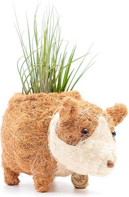 Show full view: LIKHA Corgi Coco Coir Planter Pot, 2.5-in slide 5 of 8