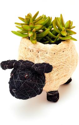 Show full view: LIKHA Sheep Coco Coir Planter Pot, Black/White, 4-in slide 5 of 7