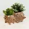 Show in main carousel: LIKHA Hedgehog Coco Coir Planter Pot, 4-in slide 8 of 8