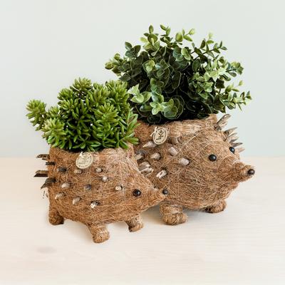 Show full view: LIKHA Hedgehog Coco Coir Planter Pot, 4-in slide 8 of 8