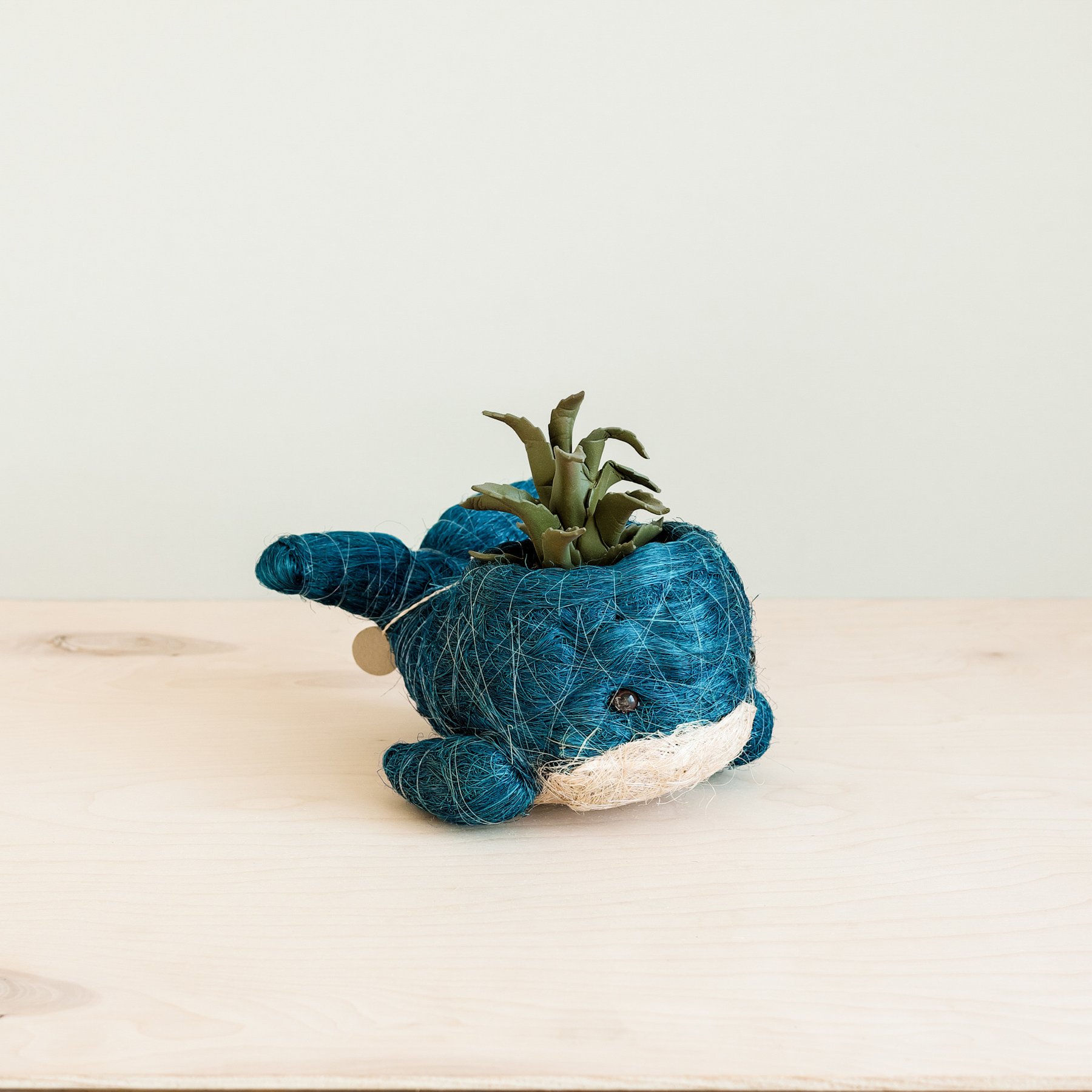 LIKHA Whale Coco Coir Planter Pot, Blue/White, 2.5-in