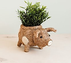 LIKHA Country Pig Coco Coir Planter Pot, 4-in