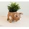 Show in main carousel: LIKHA Country Pig Coco Coir Planter Pot, 4-in slide 1 of 7