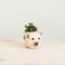 Show in main carousel: LIKHA Mini Cat 2.5-in Plant Pot, Natural/White, 5 x 5 x 4.75-in slide 2 of 7