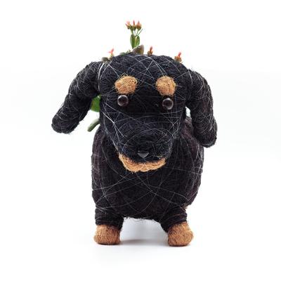 Show full view: LIKHA Dachshund Coco Coir Planter Pot, 4-in slide 5 of 10