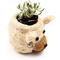 Show in main carousel: LIKHA Mini Bear 2.5-in Plant Pot, Natural/White, 6 x 5 x 4.75-in slide 4 of 7