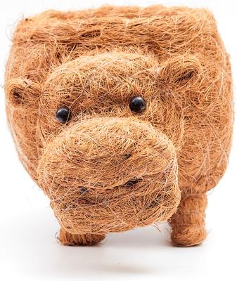 Show full view: LIKHA Hippo Coco Coir Planter Pot, 4-in slide 6 of 7
