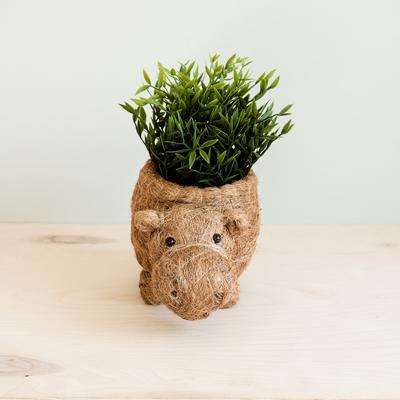 Show full view: LIKHA Hippo Coco Coir Planter Pot, 4-in slide 2 of 7