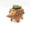 Show in main carousel: LIKHA Hedgehog Coco Coir Planter Pot, 4-in slide 6 of 8