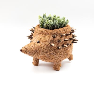 Show full view: LIKHA Hedgehog Coco Coir Planter Pot, 4-in slide 6 of 8