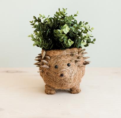 Show full view: LIKHA Hedgehog Coco Coir Planter Pot, 4-in slide 2 of 8