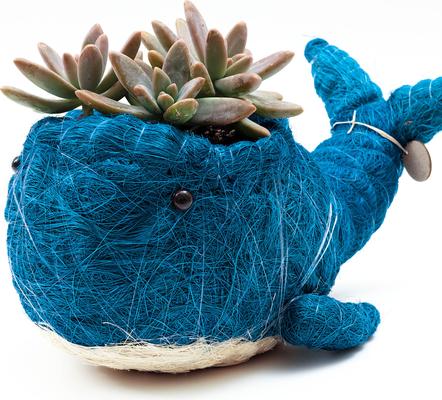 Show full view: LIKHA Whale Coco Coir Planter Pot, Blue/White, 4-in slide 5 of 7