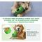 Show in main carousel: KADTC Frost Lick 2 In 1 Dog Fillable Chew Enrichment Puzzle Toy, Green, X-Large slide 6 of 8