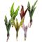 Show in main carousel: ReptiFauna Assorted Bromeliad Reptile Plant, 6 count slide 1 of 8