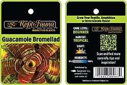 ReptiFauna Guacamole Bromeliad Reptile Plant, 3 count slide 2 of 6