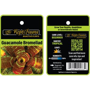 ReptiFauna Guacamole Bromeliad Reptile Plant, 3 count