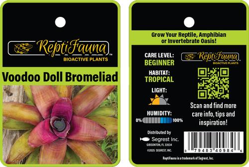 Show full view: ReptiFauna Voodoo Doll Bromeliad Reptile Plant, 3 count slide 6 of 7