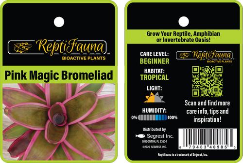 Show full view: ReptiFauna Pink Magic Bromeliad Reptile Plant, 3 count slide 6 of 7