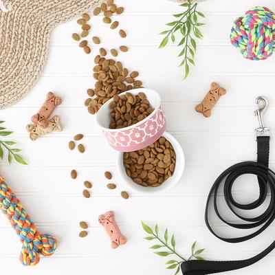 Show full view: Bone Dry Paw Lattice Print Non-Skid Ceramic Dog & Cat Bowl Set, 2 count, Rose, Small: 0.75 cup slide 2 of 7