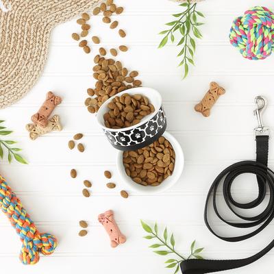 Show full view: Bone Dry Paw Lattice Print Non-Skid Ceramic Dog & Cat Bowl Set, 2 count, Black, Small: 0.75 cup slide 4 of 7