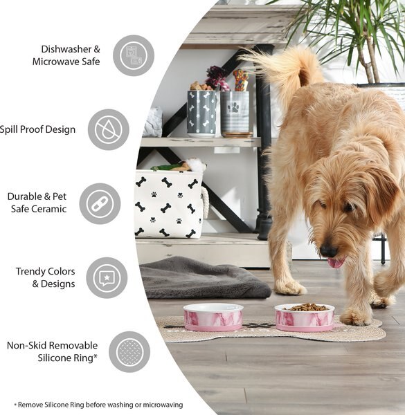 Bone Dry Paw Patch & Stripes Non-Skid Ceramic Dog & Cat Bowl