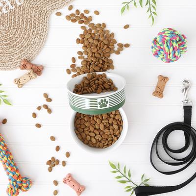 Show full view: Bone Dry Paw Patch Stripes Non-Skid Ceramic Dog & Cat Bowl Set, 2 count, Hunter Green, Medium: 1.5-cup slide 3 of 8