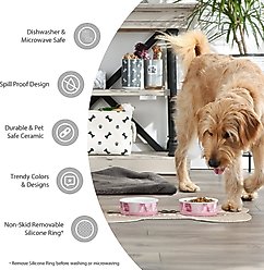 Bone Dry Paw Patch Stripes Non-Skid Ceramic Dog & Cat Bowl Set, 2 count, Rose, Medium: 1.5-cup slide 2 of 7