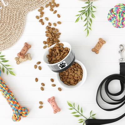 Show full view: Bone Dry Paw Patch Stripes Non-Skid Ceramic Dog & Cat Bowl Set, 2 count, Black, Small: 0.75 cup slide 4 of 9