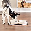 Show in main carousel: Bone Dry Non-Skid Ceramic Dog & Cat Bowl Set, Large: 3.75-cup, 2 count, Terrazzo slide 3 of 3