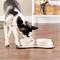 Show in main carousel: Bone Dry Non-Skid Ceramic Dog & Cat Bowl Set, Large: 3.75-cup, 2 count, Terrazzo slide 4 of 4