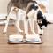 Show in main carousel: Bone Dry Non-Skid Ceramic Dog & Cat Bowl Set, Large: 3.75-cup, 2 count, Eat/Drink slide 3 of 3