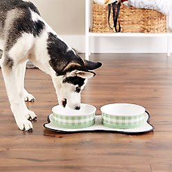 Bone Dry Petite Check Ceramic Dog & Cat Bowl, Large: 3.75-cup, 2 count, Desert Sage slide 2 of 3