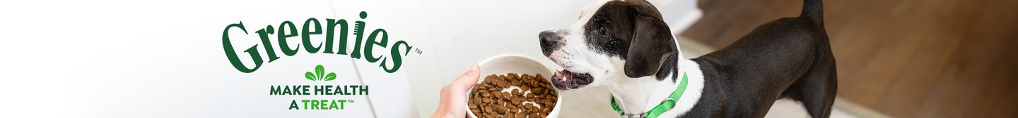 Greenies Make Health a Treat